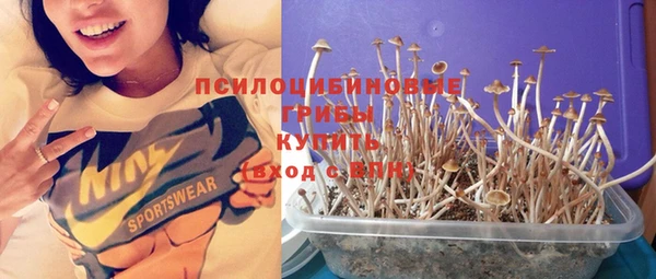 гашик Магадан