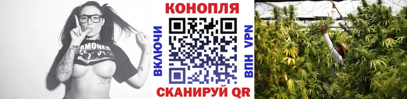 Шишки марихуана индика  Купить  Черняховск 